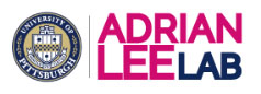 Adrian Lee Lab